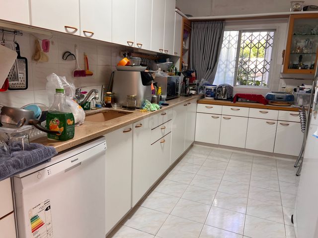 דו משפחתי התאנה עמידר